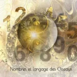 Nombres et langage des Oiseaux