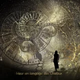 Heur en langage des Oiseaux